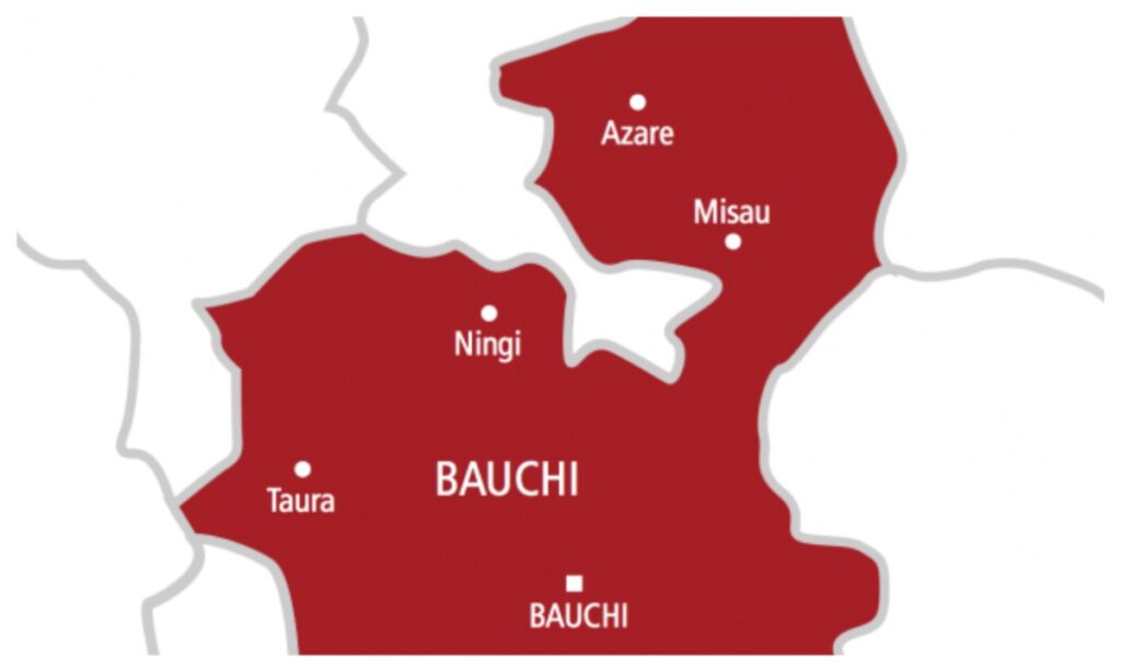 Woman Left in Critical Condition After Phone Theft Attack in Bauchi