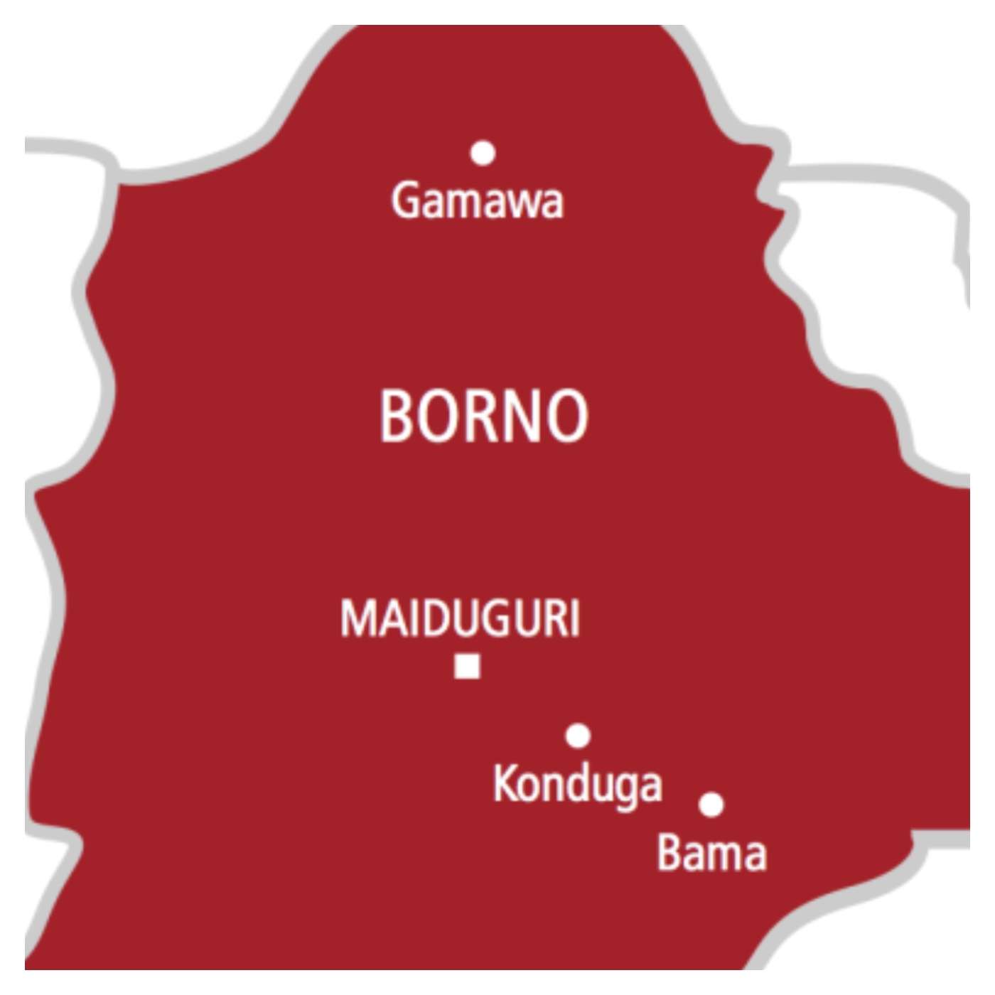 Boko Haram/ISWAP fighter lays down arms, surrenders in Borno