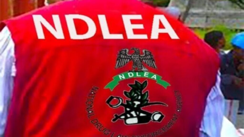 NDLEA Arrests Two Over Alleged Drug Trafficking Around Oredo Secretariat in Edo