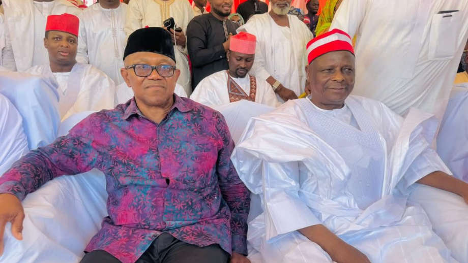 Presidency criticises Peter Obi, Kwankwaso, claims they lack plans for Nigeria