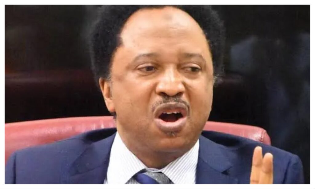 Diplomatic posting: Shehu Sani speaks on Fani-Kayode’s alleged transfer request