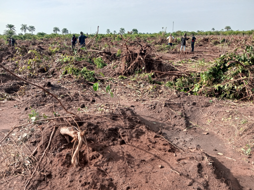 Tension in Imo as Residents Protest Claimed Land Grab by Government