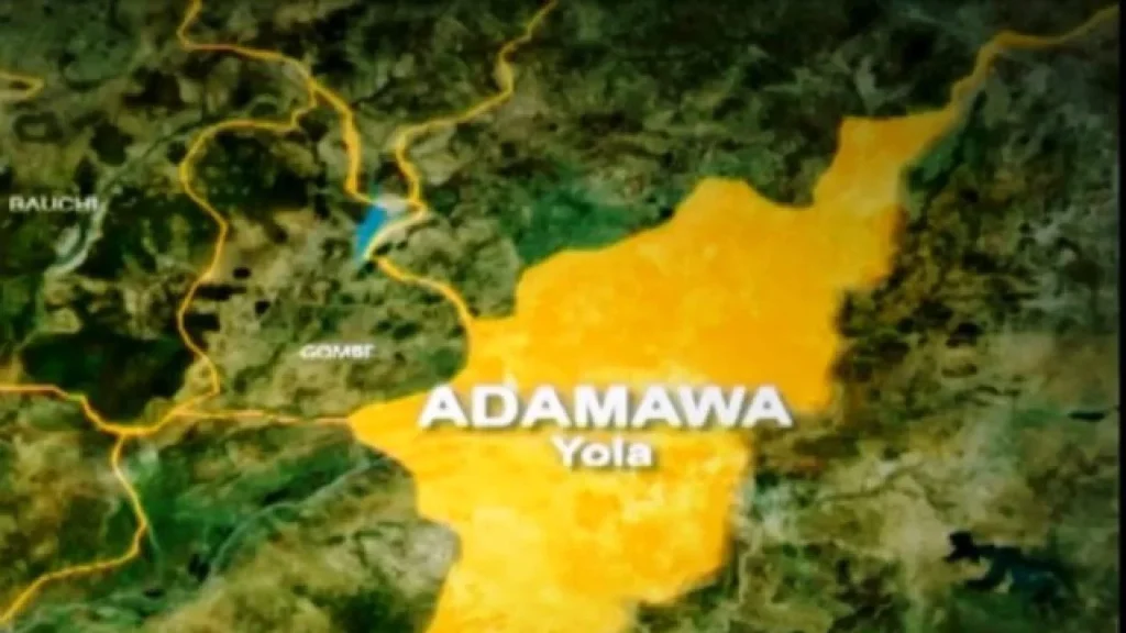 Six Killed in Terrible Auto Crash in Adamawa